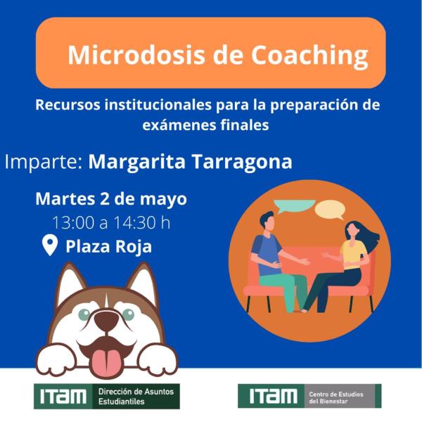 banner_-_microdosis_coaching.jpeg