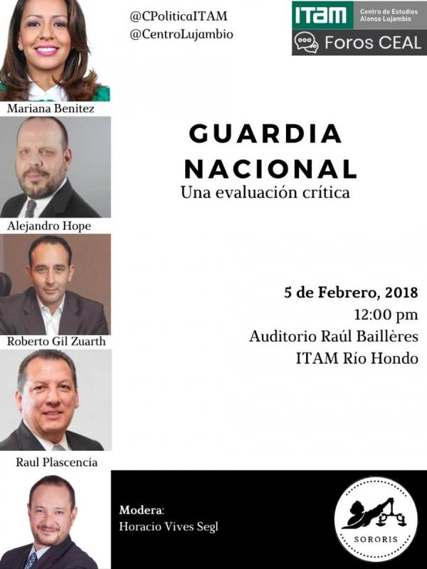 Guardia Nacional. Una evaluación crítica