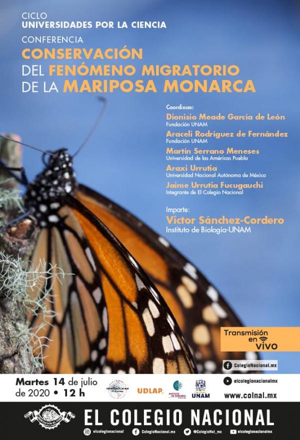 Póster CICLO Conferencia sobre la conservación del fenómeno migratorio de la mariposa monarca