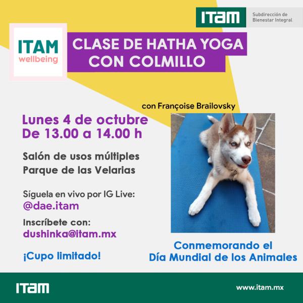 Clase de Hatha Yoga con Colmillo para conmemorar el Día Mundial de los Animales