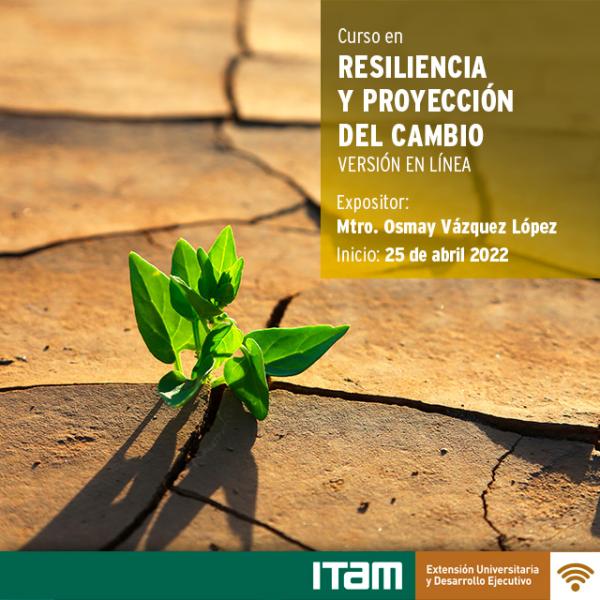 Póster Curso en Resiliencia y proyección del cambio, Versión en línea