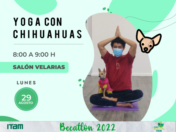 Yoga con Chihuahuas - Becatlón 2022