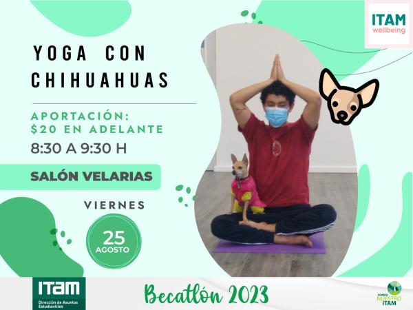 Reto Becatlón: Clase de yoga con chihuahuas